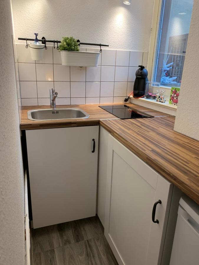 Historical Town Center Cosy Flat Daire Colmar Dış mekan fotoğraf